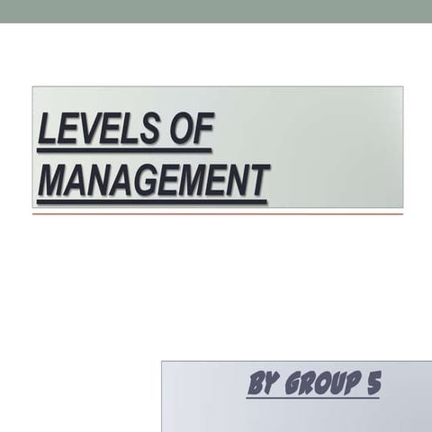 Levels of management