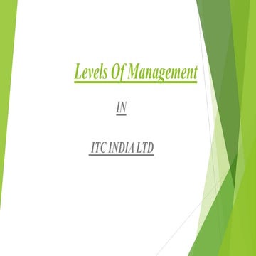 Levels of management
