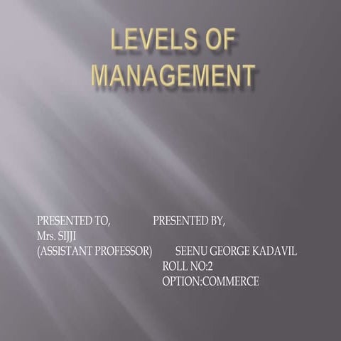 Levels of management