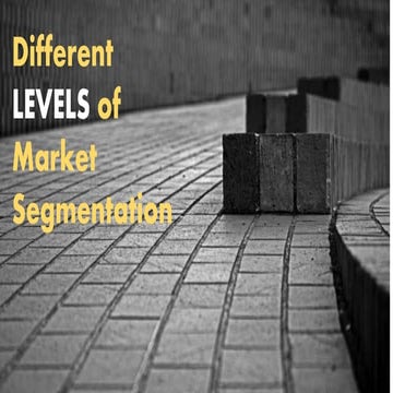 Levels of market segmentation | PPTX