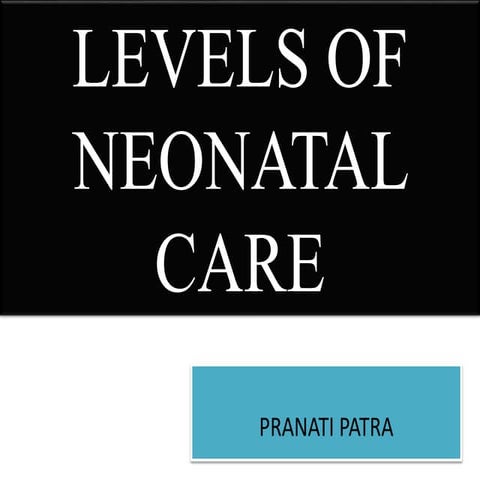 Levels of neonatal care