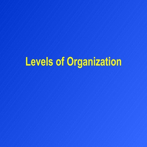 Levels of organization