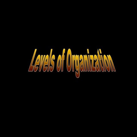 Levels of organization