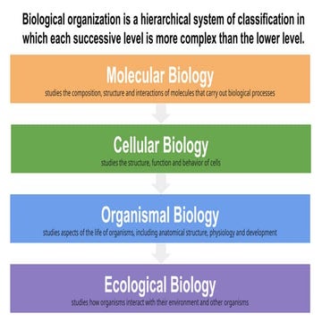 Levels of Organization biology lesson IB | PPTX