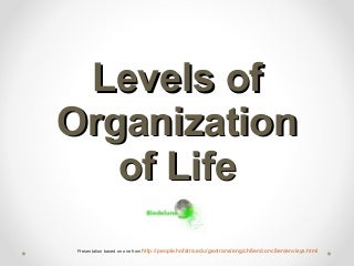 'organization' on SlideShare