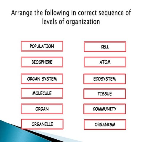 ORGANISMS LEVELS OF ORGANIZATION GRADE SEVEN.pptx