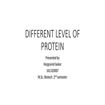 Different Levels of protein