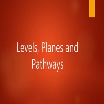 Levels, Planes and Pathways for Kindergarten.pptx