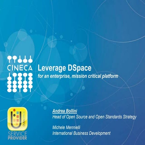 Leverage DSpace for an enterprise, mission critical platform