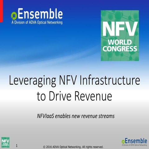 Leveraging NFV Infrastructure to Drive Revenue