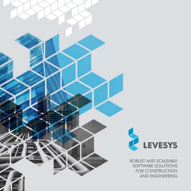 Levesys company brochure