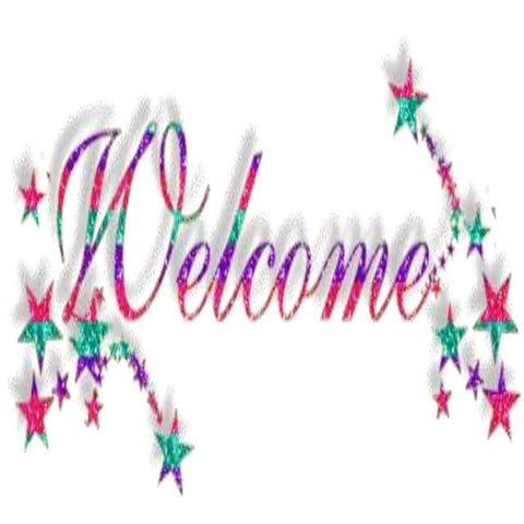 Levine's four conservation principles