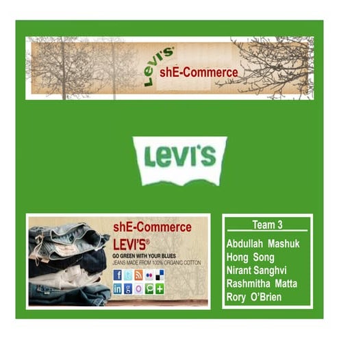 Levis final presentation