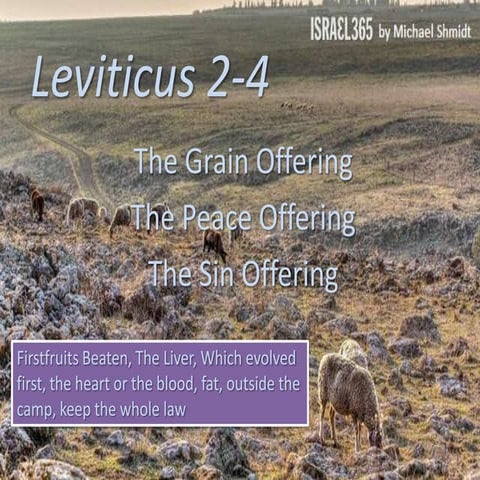 Leviticus 2-4, The Grain Offering, The Peace Offering, The Sin Offering,  Fir...