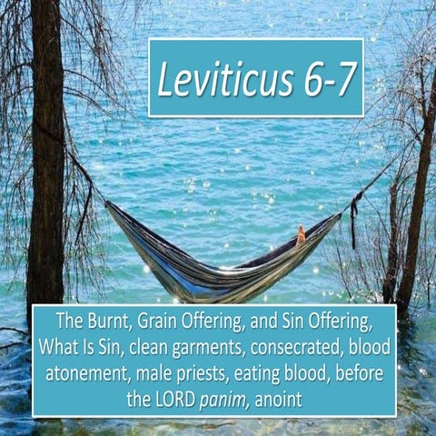 Leviticus 6-7, The Burnt, Grain, and Sin Offering, what is sin, clean garment...