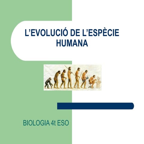 L’evolució de l’espècie humana
