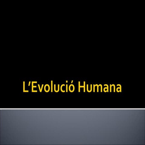 L’Evolució Humana