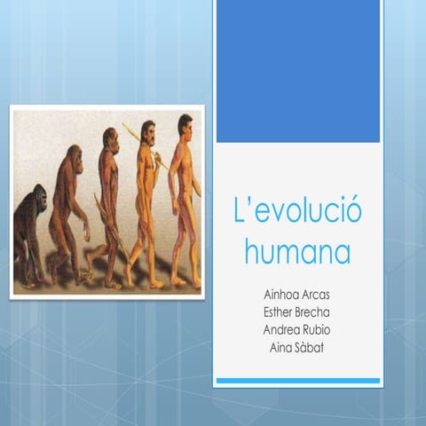 evolució humana