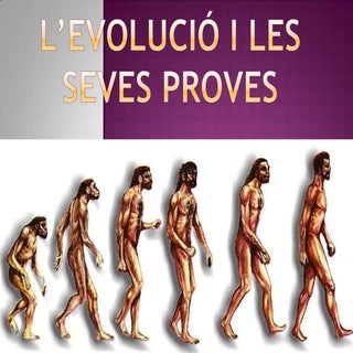 L’evolució i les seves proves