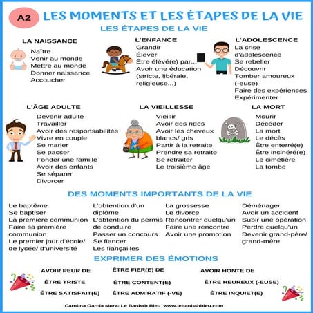 Lexique  les etapes de la vie (A2)