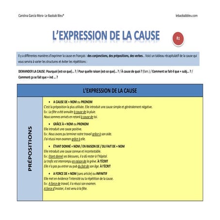 L'expression de la cause (b1)