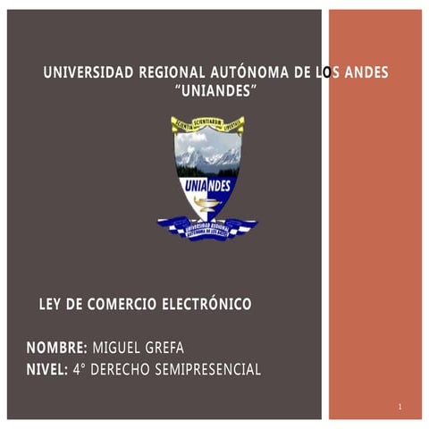 Leyes en ecuador y seguridad informatica | DOCX