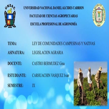 LEY DE COMUNIDADES CAMPESINAS Y NATIVAS.pptx
