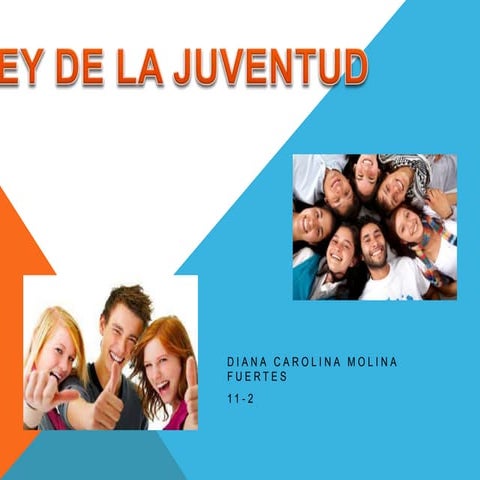 Ley de la juventud