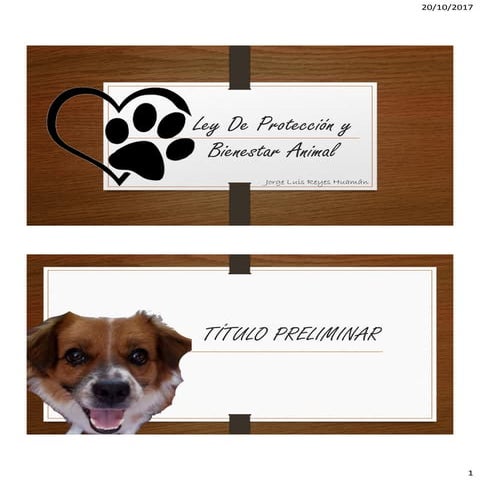 Ley de protección y bienestar animal