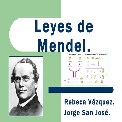 LEYES DE MENDEL
