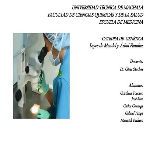 Leyes de Mendel y árbol genealógico 