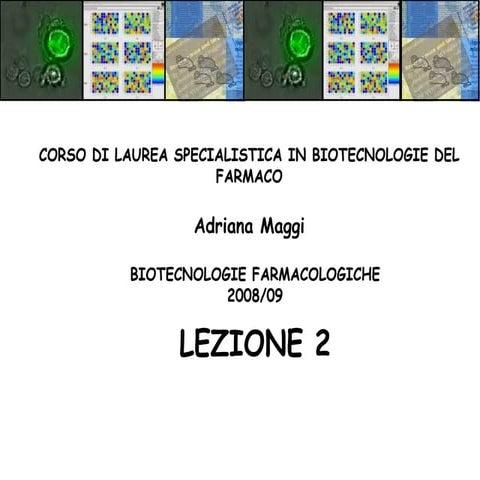 Lezione 2 2008 09