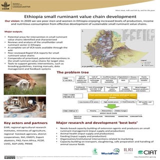 Ethiopia small ruminant value chain...