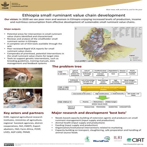 Ethiopia small ruminant value chain development