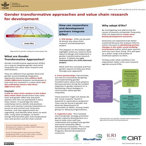 Gender transformative approaches and value chain research for development