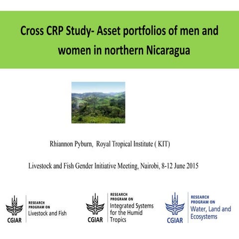 Cross CRP Study—Asset portfolios of men and women in northern Nicaragua