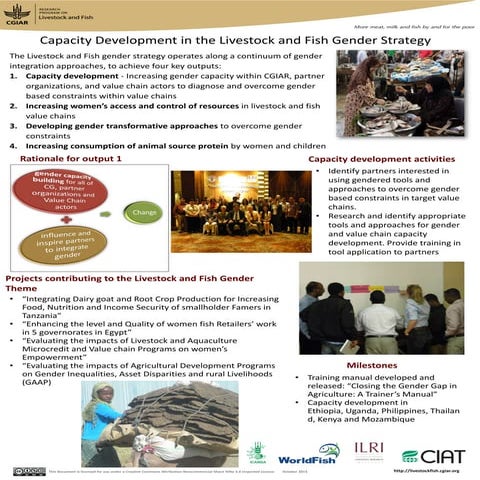 Capacity development in the livestock and fish gender strategy