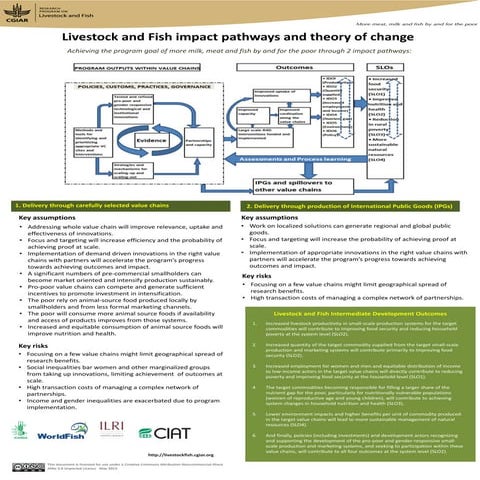 Impact Pathways | PPT