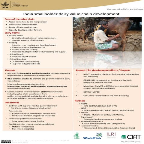 India smallholder dairy value chain development | PDF