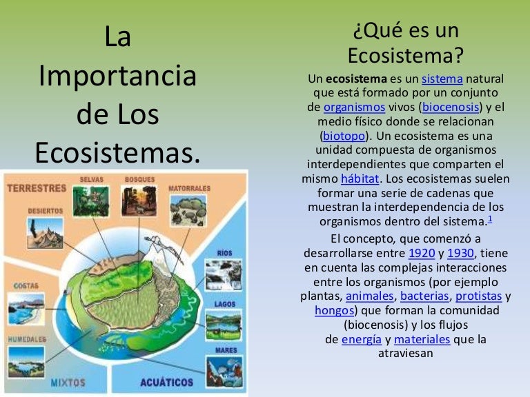 La Importancia de Los Ecosistemas