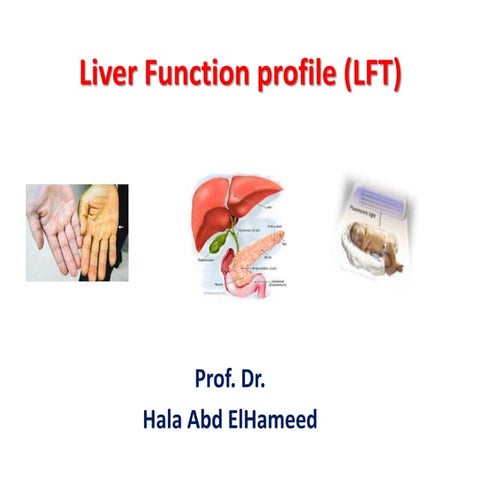 Liver Function Test