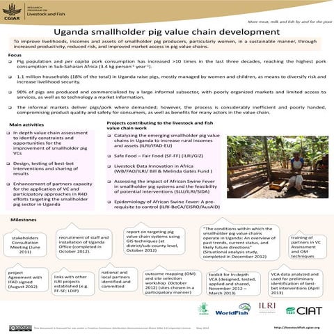 Uganda smallholder pig value chain development