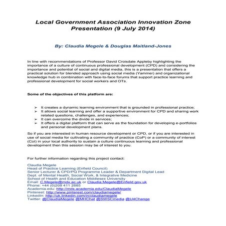 Local Government Innovation Zone 