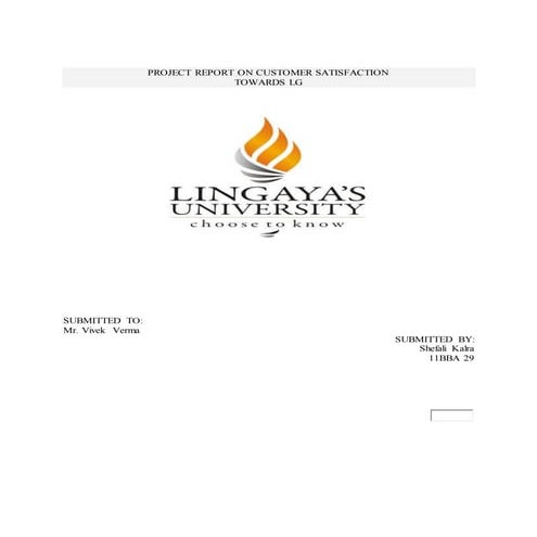 Lg final report   copy (2)