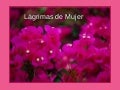 Lgrimasde Mujer1