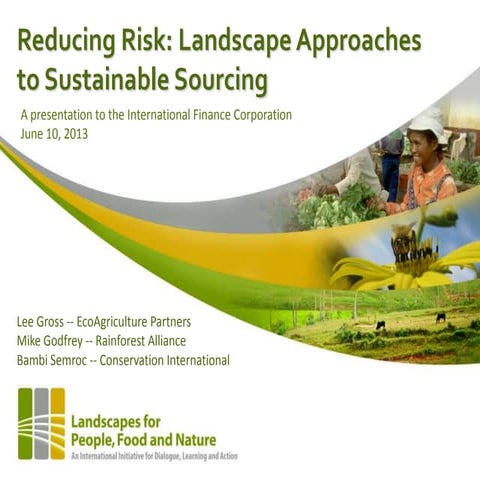 Reducing Risk: Landscape Approaches to Sustainable Sourcing - at the IFC, Jun...