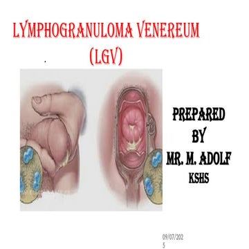 Genital ulcers | PPTX