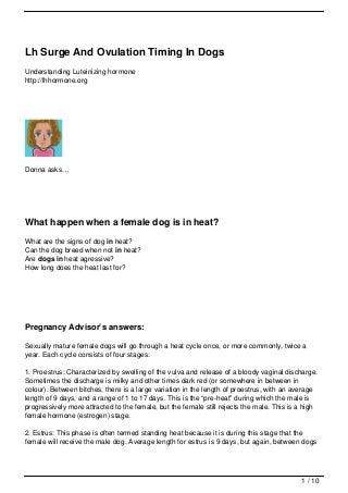 I Saw This Awful Information About Dog And I Required To Google It