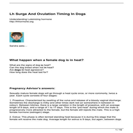 Lh Surge And Ovulation Timing In Dogs