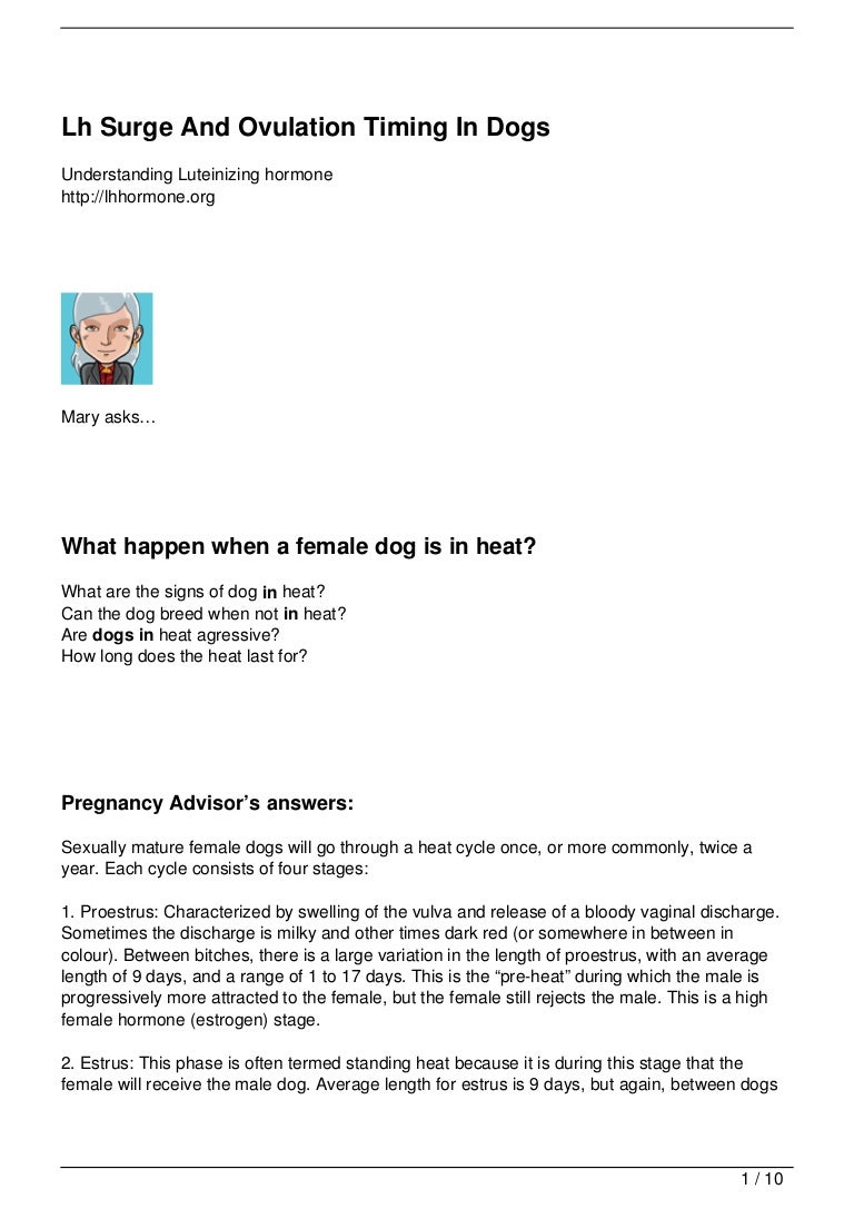 Lh Surge And Ovulation Timing In Dogs